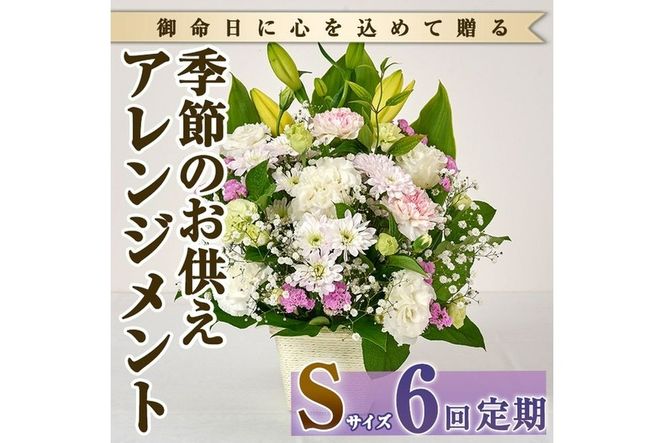 ＜定期便・6回(連続)＞季節のお供え用アレンジメント(生花：Sサイズ)生花 お花 花束 フラワー 植物 お供え 供花 仏花 命日 仏事 法事 贈り物【FM-21】【フラワーショップまつだ】