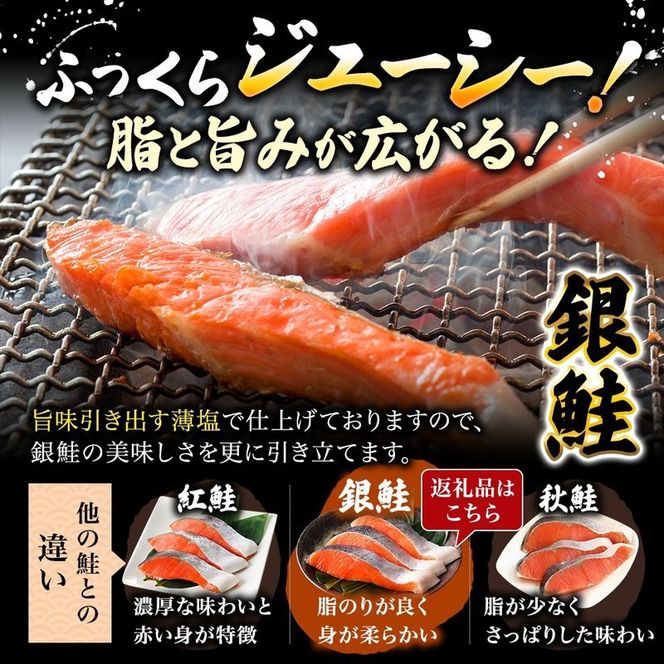 【 2ヶ月 連続 定期便 】訳あり 銀鮭 切り身 1.4kg セット 詰め合わせ 鮭 サケ