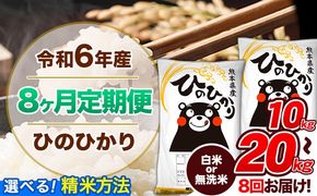 【8ヶ月定期便】令和6年産 定期便 無洗米 も選べる ひのひかり 10kg 15kg 20kg 《申込み翌月から発送》令和6年産 熊本県産 ふるさと納税 無洗米 白米 精米 ひの 米 こめ ふるさとのうぜい ヒノヒカリ コメ 熊本米ひのもり---hn6tei_160000_10kg_mo8_gkt_h---