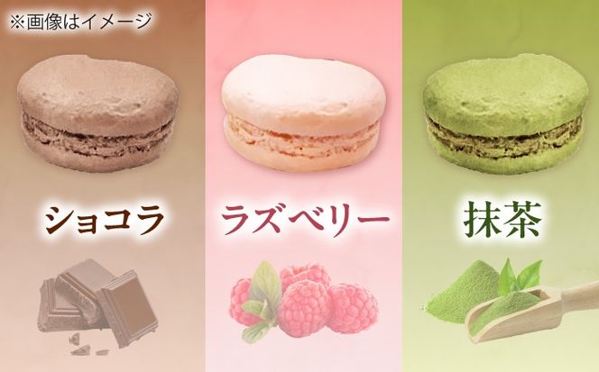 マカロン 10個入り 洋菓子 マカロン スイーツ 愛西市 / スイーツカフェハル[AEDP005]