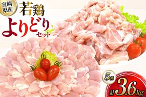 鶏肉 宮崎県産 若鶏 よりどり 3.6kg セット [TRINITY 宮崎県 日向市 452061334] 小分け 個包装 冷凍 もも もも肉 鶏もも 手羽先 手羽中 手羽元 肩肉 真空パック 真空包装