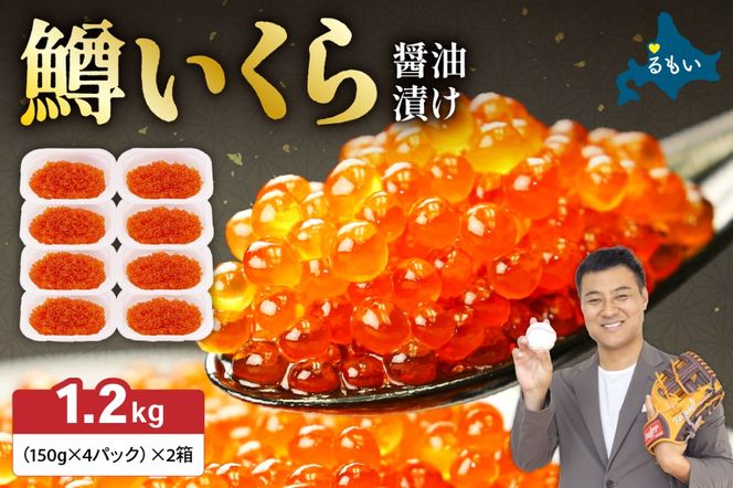 いくら醤油漬（鱒卵）150g×4P入×2箱（1.2kg）　お正月　人気　魚卵　高級　 イクラ 鱒いくら 魚卵 魚介 魚介類 海鮮 ご飯のお供 ごはんのお供 北海道 留萌 おせち R001-032