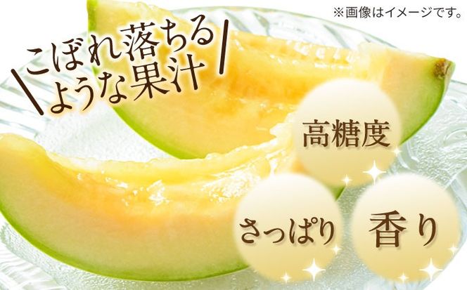 【2025年4月下旬～発送】【根強い人気!】訳あり プリンスメロン 約4kg×2箱 傷もの / メロン めろん 果物 フルーツ / 南島原市 / 南島原果物屋[SCV020]