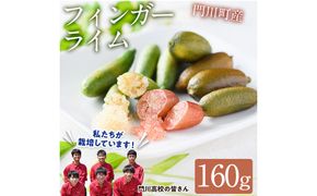 ＜先行予約受付中！2026年10月から順次発送予定＞＜数量限定・期間限定＞宮崎県門川町産フィンガーライム(160g) 柑橘 希少 ライム キャビアライム シトラス ミアローズ ティスティグリーン ピンクパール レッドスパークリング ダークレッド 高校生 高校【AU-2】【宮崎県立門川高等学校】