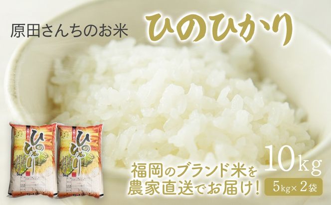 「原田さんちのお米」ヒノヒカリ 10kg お取り寄せグルメ お取り寄せ 福岡 お土産 九州 ご当地グルメ 福岡土産 取り寄せ 福岡県 食品