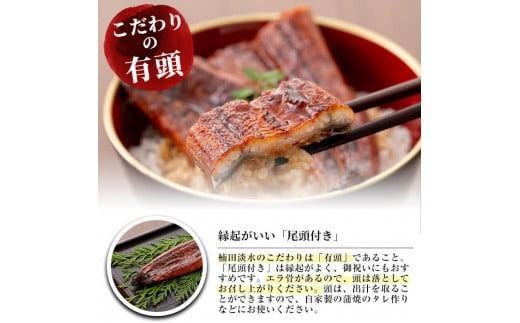 楠田の極うなぎ蒲焼130g以上×2尾・白焼130g以上×2尾(計520g以上) b3-014