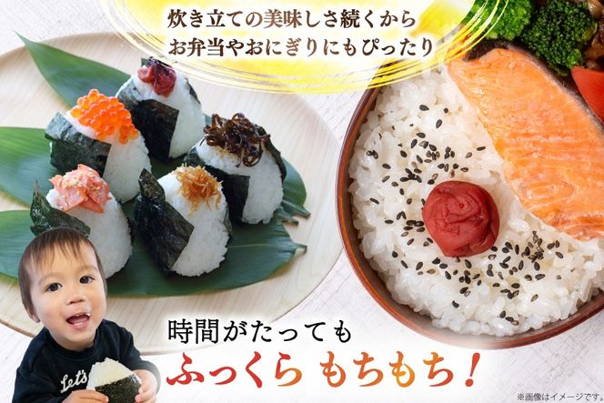 米 生活応援米 宮城県産 ひとめぼれ 5kg [菊武商店 宮城県 気仙沼市 20566180] お米 こめ コメ 白米 精米 ご飯 ごはん