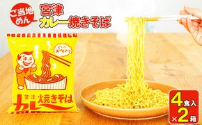 即席めん 宮津カレー焼きそば 4食入×2箱 天橋立 ご当地 ソウルフード インスタント麺 焼きそば ラーメン 麺類 B級グルメ 宮津 家庭 カレー焼きそば 