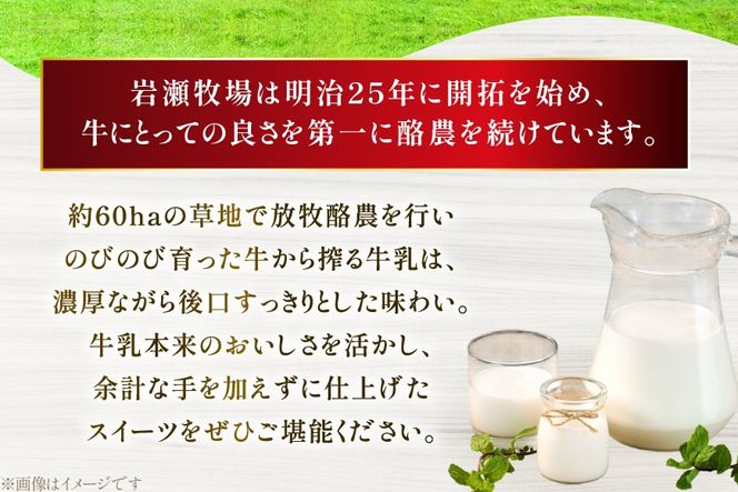 テレビで紹介！ アイス ジェラート ストロベリー 1L ファミリーサイズ [岩瀬牧場 北海道 砂川市 12260968] 冷凍 アイスクリーム 詰め合わせ スイーツ