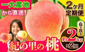 桃 もも【2027年先行予約】和歌山県産 紀の里の桃 【2ヶ月定期便】約2kg (6-8玉入り) 2回 お届け《2027年6月中旬-8月中旬頃出荷》 桃 2027年 先行 桃 先行予約2027 もも2027 白鳳 日川白鳳 八旗白鳳 清水白桃 川中島白桃 つきあかり もも 白鳳 先行予約 もも川中島 もも2027 もも 白鳳 先行予約 もも 先行予約 もも 和歌山 もも---wfn_cwltei256_6c8c_26_26000_67y2---