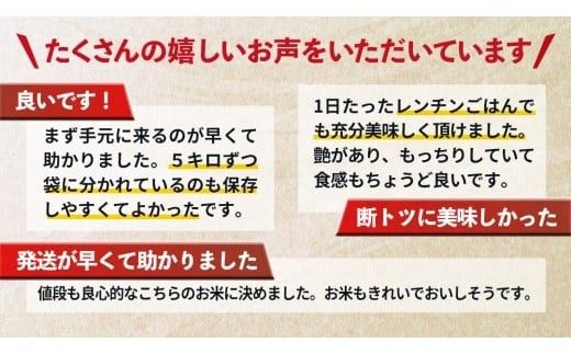 スピード発送!! （最短2日～7日程度で発送） 【選べる 品種 ＆ 内容量 ＆ お届け回数】茨城県 筑西市産 米 5kg 10kg 定期便 令和7年産 新米 三ツ星 マイスター お米 コメ こしひかり にじのきらめき 単一米 精米 スピード配送 [CH004ci]