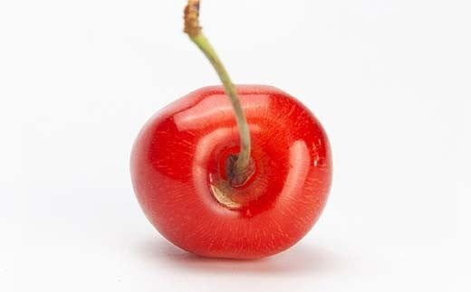 FYN6-050 ≪2026年先行予約≫加工用 山形県 品種おまかせ さくらんぼ 500g バラパック 2026年6月上旬頃から順次発送 果物 くだもの フルーツ 夏果物 サクランボ チェリー 訳あり ご自宅用 ご家庭用 農業者支援品 農家支援品 山形県 西川町 月山