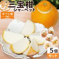 ZP6009_GFTn_【ギフト用】まるごと 三宝柑 シャーベット 5個 セット