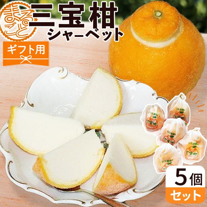 ZP6009_GFTn_【ギフト用】まるごと 三宝柑 シャーベット 5個 セット