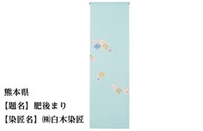 【47都道府県着物応援プロジェクト】 熊本県 京手描友禅 付下げ着尺 261009_A-BR043