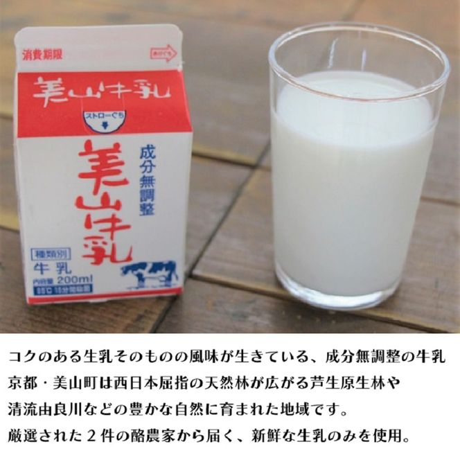 牛乳 定期便 12ヶ月 京都 美山牛乳 200ml ×5本 珈琲牛乳 ×5本 詰め合わせ セット 美山町 お取り寄せ コーヒー牛乳 パック 紙パック 200mL 定期 お楽しみ 12回 ※北海道・沖縄・離島への発送不可 