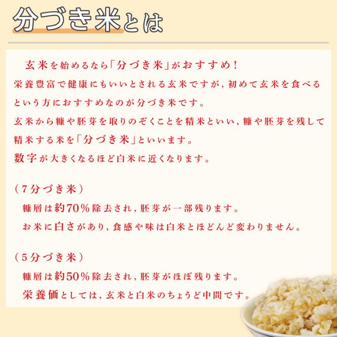 ★真空包装★R7年産こしひかり食べ比べ 計4kg(2kg×各1袋)【5分づき・7分づき】｜米 こめ お米 コシヒカリ こしひかり 真空 真空包装 5分づき 7分づき 人気 個包装 茨城県 行方市 送料無料(CZ-7-3)