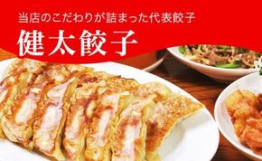 「宇都宮餃子館」健太餃子 960g（48個）≪冷凍餃子 冷凍食品 ギョーザ グルメ 食品 惣菜 中華惣菜 点心 中華≫