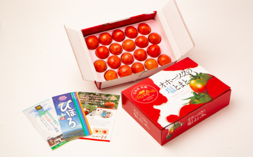【先行予約】美幌町産・旨味凝縮のオホーツク塩トマト 約1kg（2026年7月下旬より順次発送） BHRG006