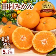 BD7004n_【2026年先行予約】有田の高級みかん【田村みかん】秀品！たっぷり 5kg ギフトにもオススメ (S～Lサイズおまかせ)