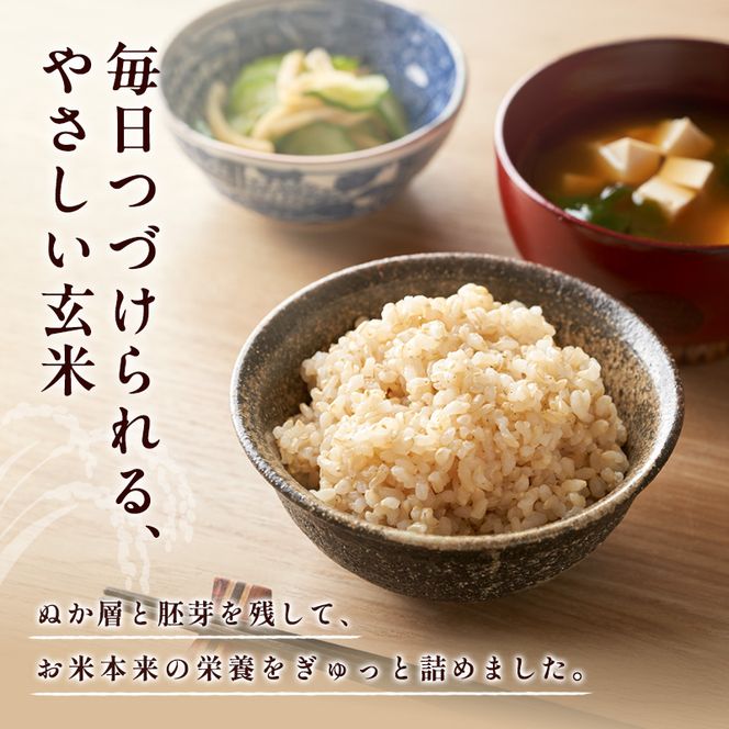 米 令和8年産 神大のおこめ（特別栽培米ヒノヒカリ）玄米30kg お米