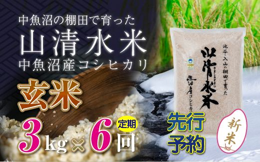 【令和8年産 先行予約】【定期便／全6回】玄米3kg 新潟県魚沼産コシヒカリ「山清水米」