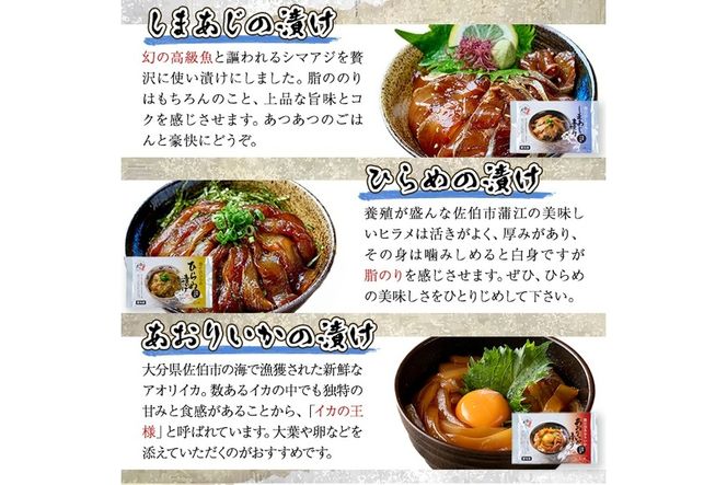 漬け丼 5種セット (計10食分・2食入×5種) りゅうきゅう あつめし 魚介 鰤 ブリ 真鯛 タイ シマアジ アジ ヒラメ 鮃 アオリイカ イカ 冷凍 海鮮 海の直売所 大分県 佐伯市【AS147】【海べ (株)】