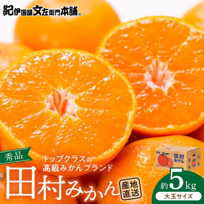 V7451_【2026年先行予約】田村みかん／5kg秀品【大玉サイズ】
