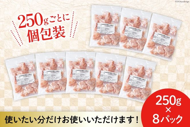 鶏肉 定期便 若鶏 もも 切身 小分け 250g 8p 6回 総計 12kg セット [九州児湯フーズ 宮崎県 美郷町 31aj0047] 肉 鶏肉 宮崎県産 便利 大人気 鶏 パラパラ IQF 鶏もも 冷凍 国産 もも肉 カット済