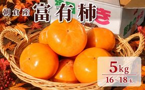 柿 富有柿 朝倉産 5kg 16玉～18玉 朝倉りんご園 果物類 かき 