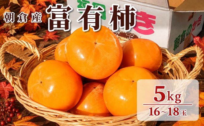 柿 富有柿 朝倉産 5kg 16玉～18玉 朝倉りんご園 果物類 かき 
