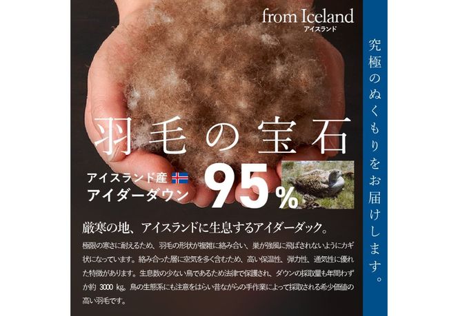 【甲州羽毛肌掛けふとん】銀の糸×アイダーダウン95％ (アイボリー) お任せカバー付き 【選べるサイズ】シングル/セミダブル/ ダブル/ クイーン/キング 掛け布団 ふとん 寝具 羽毛布団 肌掛け 抗菌 抗ウイルス 山梨 富士吉田