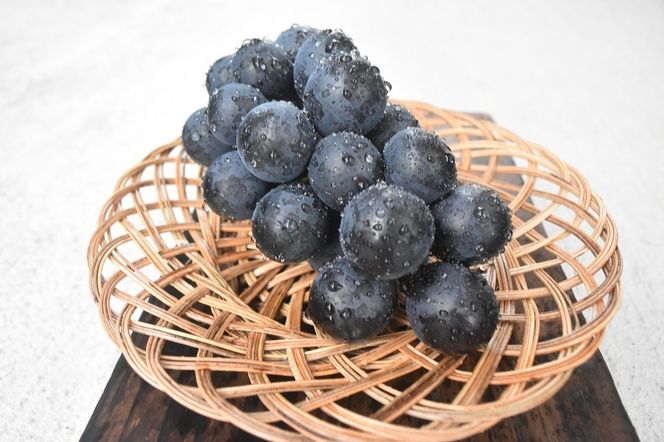 【2026年発送】おまかせ！ぶどう　3色　食べ比べ　セット　約1.8㎏　［ぶどう　葡萄　シャイン　シャインマスカット　クイーンニーナ　マイハート　スカーレット　巨峰　ブラックビート　くだもの　果物　フルーツ　人気　3種　詰め合わせ　ギフト　贈答　新鮮　山梨県　山梨　甲斐市］AD-304