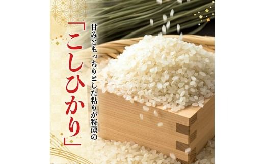 米 【令和7年産】宮崎県産米　村井農園産こしひかり（精米）2kg 【 米 お米 白米 精米 こしひかり 国産 宮崎県産 おにぎり 】☆[C10003]