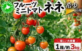【2027年先行予約】北海道産 ミニトマト ネネ 約3kg フルーツトマト 幻の 高糖度 ジューシー プチ トマト 甘い 濃厚 彩り 鮮やか 希少 お中元 お歳暮 暑中見舞い 帰省土産 ご自宅用 産地直送 大滝農園 送料無料 北海道