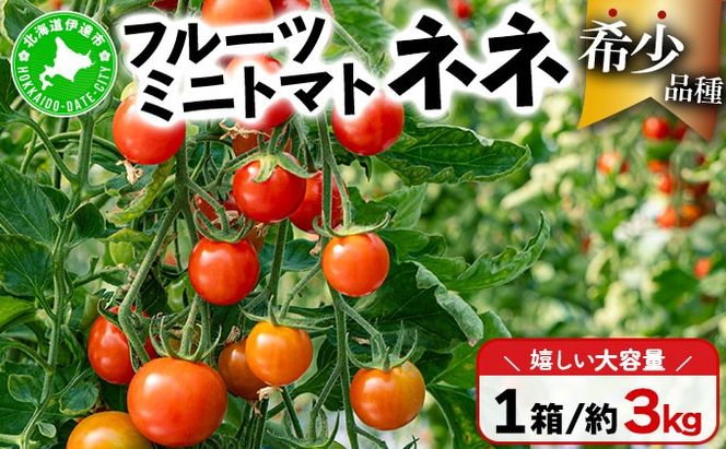 【2027年先行予約】北海道産 ミニトマト ネネ 約3kg フルーツトマト 幻の 高糖度 ジューシー プチ トマト 甘い 濃厚 彩り 鮮やか 希少 お中元 お歳暮 暑中見舞い 帰省土産 ご自宅用 産地直送 大滝農園 送料無料 北海道