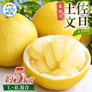 先行予約 文旦 家庭用 約5kg 土佐文旦 L～4L 混合サイズ 高知 ブンタン ぶんたん 旬 柑橘 かんきつ 柑橘類 フルーツ 果物 くだもの デザート おやつ 爽やか 甘い スイーツ 美味しい おいしい 常温