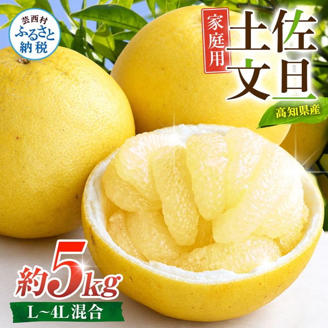 先行予約 文旦 家庭用 約5kg 土佐文旦 L～4L 混合サイズ 高知 ブンタン ぶんたん 旬 柑橘 かんきつ 柑橘類 フルーツ 果物 くだもの デザート おやつ 爽やか 甘い スイーツ 美味しい おいしい 常温