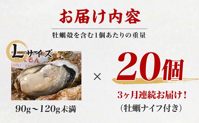定期便 3ヶ月 北海道 厚岸産 牡蠣 Lサイズ 20個 (各回20個×3ヶ月分,合計60個) 殻付き 生食 カキナイフ付き かき カキ 生牡蠣 魚介類 貝 マルえもん