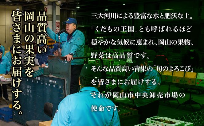 ぶどう 2026年 先行予約 ニュー ピオーネ 4房（1房480g以上）約2kg ブドウ 葡萄 岡山県産 国産 フルーツ 果物 ギフト 