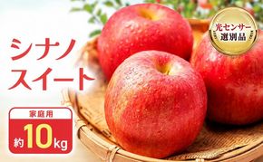 【2026年10月中旬～発送予定】 先行予約 訳あり りんご シナノスイート 約10kg 24～40玉入 家庭用 フルーツ 果物 甘い 訳あり おいしい 林檎