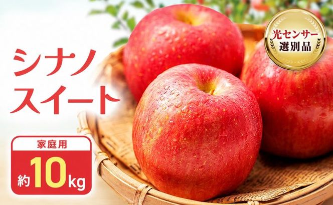 【2026年10月中旬～発送予定】 先行予約 訳あり りんご シナノスイート 約10kg 24～40玉入 家庭用 フルーツ 果物 甘い 訳あり おいしい 林檎