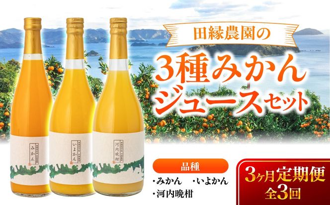 【3ヶ月定期便】田縁農園 3種みかんジュース（みかん いよかん 河内晩柑）セット 全3回 IKTA049