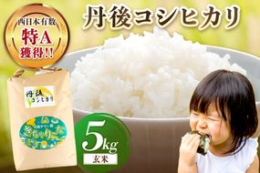 直売所直送「令和7年産　京丹後市産　コシヒカリ」　玄米5kg　JA00070