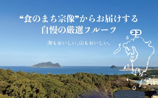 訳あり冷凍いちじく（とよみつひめ」）2kg【JAほたるの里】_HA1659