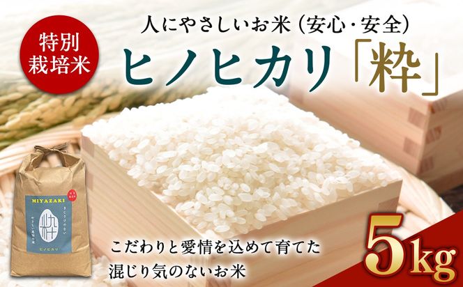 ＜令6年度 特別栽培米「粋」ヒノヒカリ5kg ＞ ※入金確認後、翌月末迄に順次出荷します。【c857_kh_x5】