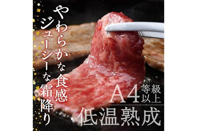 おおいた和牛 大トロカルビ焼肉 (200g) 国産 牛肉 肉 霜降り 低温熟成 A4 和牛 ブランド牛 BBQ 冷凍 大分県 佐伯市【DH220】【(株)ネクサ】