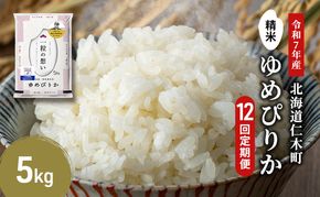 12ヵ月 定期便 銀山米研究会のお米＜ゆめぴりか＞5kg×1袋　ご飯 ライス 白米 精米 ブランド米 おにぎり お弁当 北海道産 産地直送 ご飯 時短 朝ごはん 夜ごはん 昼ごはん [株式会社 松原米穀]