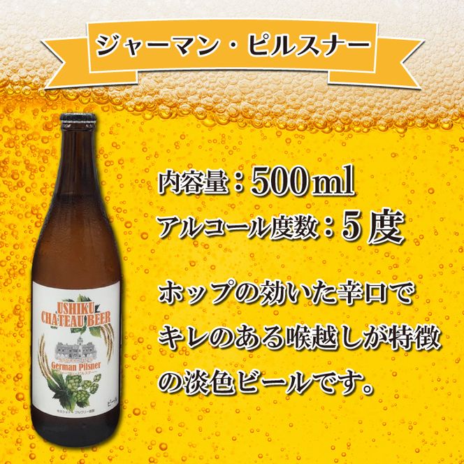 FI-1 牛久シャトービール3種類6本セット（茨城県共通返礼品 牛久市） 地ビール クラフトビール お酒 飲み比べ 詰め合わせ セット お土産 お祝い 贈り物 ギフト 贈答 記念日 国産 茨城