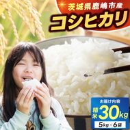 ★新米 令和7年★ 米 精米 白米 30kg（5kg×6袋）「こしひかり」先行予約 鹿嶋市産【令和7年産 コシヒカリ 5キロ 10キロ 30キロ お米 コメ ごはん ライス ブランド米 茨城県 鹿嶋市】(KEJ-3)